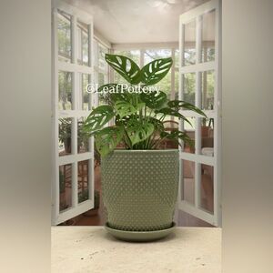 Sage Green Textured Ceramic Barrel Planter with Attached Saucer